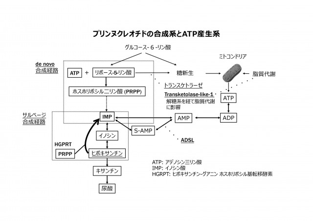 コラム | JSDNNM｜日本神経摂食嚥下・栄養学会公式ホームページ